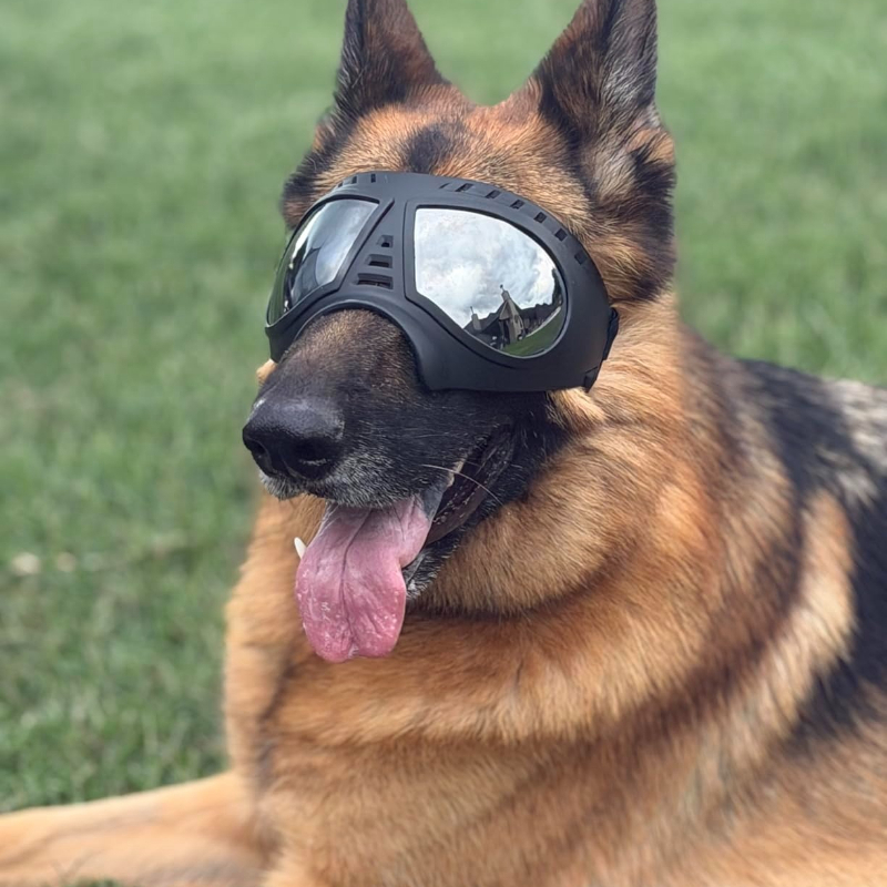 Pet Glasses for medium large-s - Sunglass Retainer Cord のレビューと価格